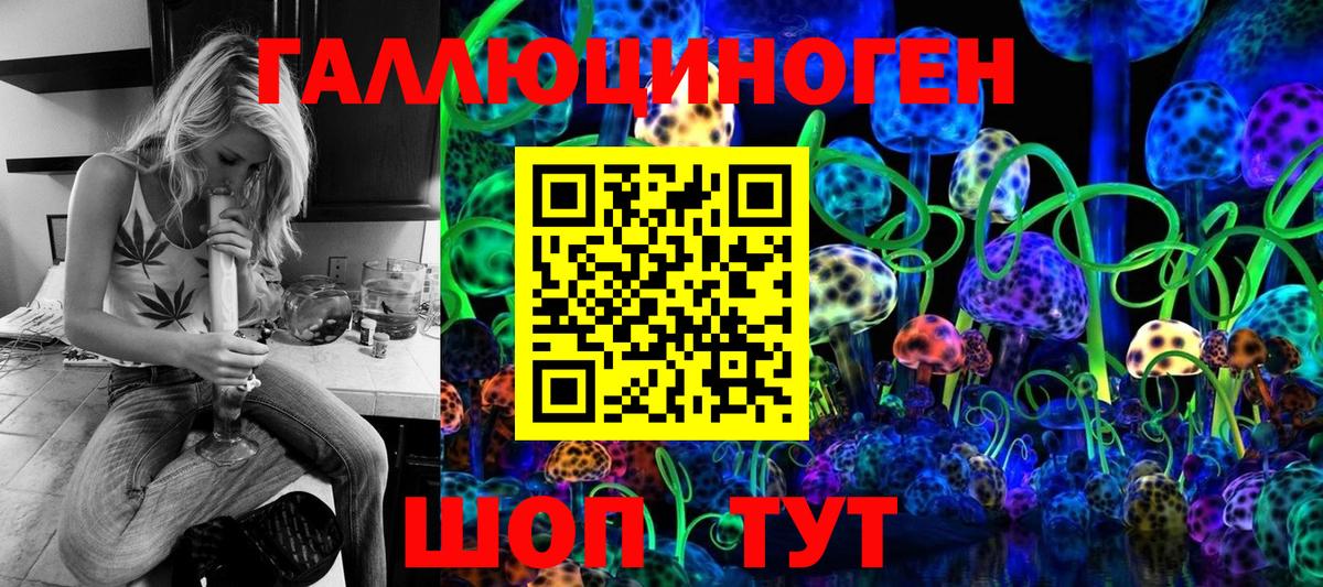 Псилоцибиновые грибы GOLDEN TEACHER Кулебаки