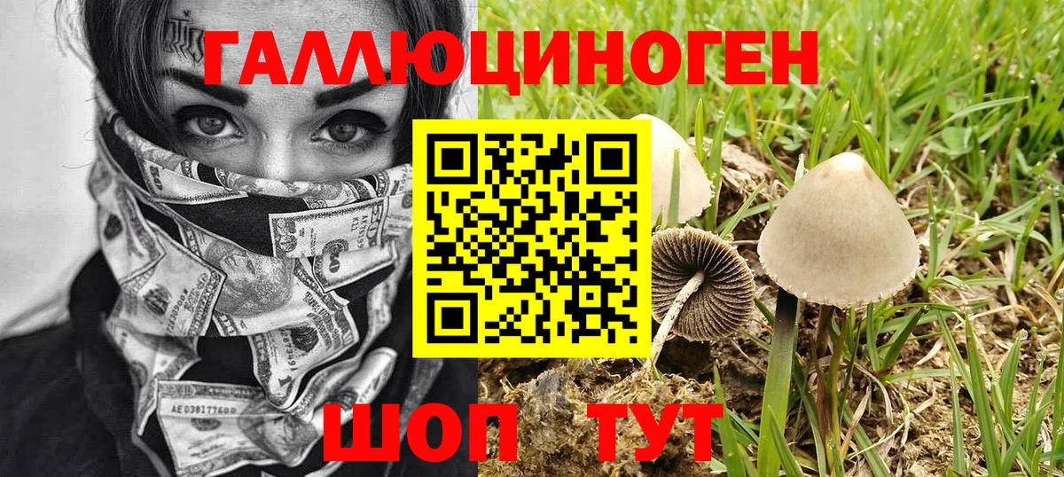 Кулебаки  Псилоцибиновые грибы Psilocybine cubensis  Псилоцибиновые грибы мицелий  Вход с VPN 